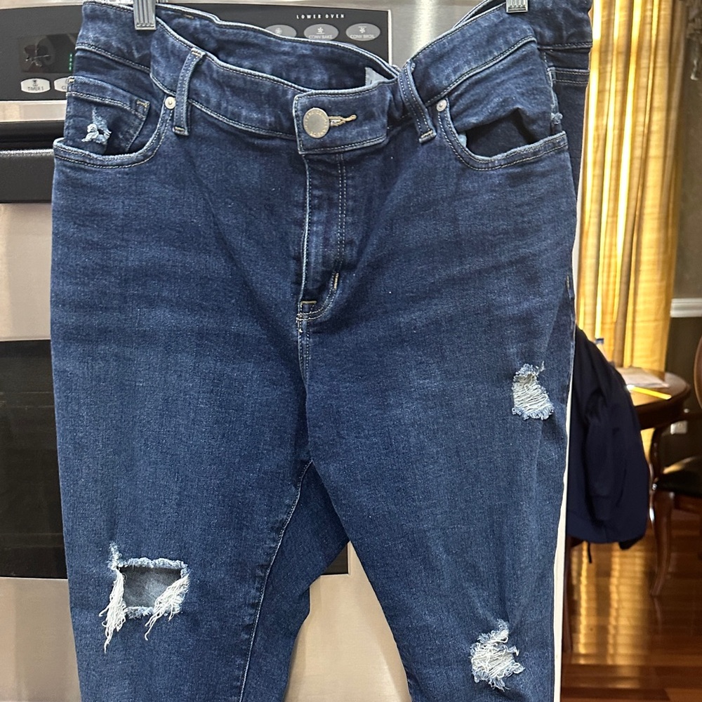 Lane Bryant denim jeans